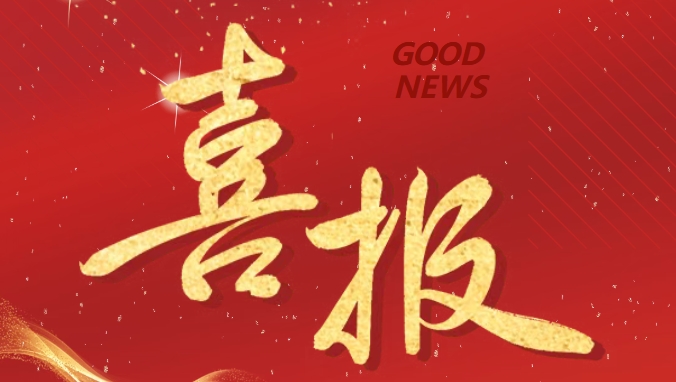 Intelligent Manufacturing Pioneer · Provincial Reputation Coronation